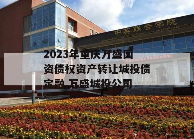 2023年重庆万盛国资债权资产转让城投债定融,万盛城投公司