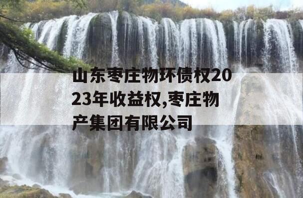 山东枣庄物环债权2023年收益权,枣庄物产集团有限公司