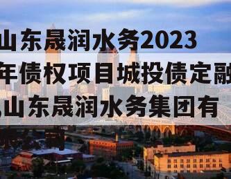 山东晟润水务2023年债权项目城投债定融,山东晟润水务集团有限公司