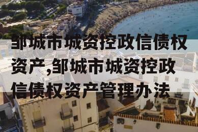 邹城市城资控政信债权资产,邹城市城资控政信债权资产管理办法