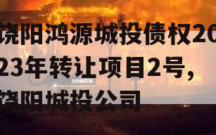 饶阳鸿源城投债权2023年转让项目2号,饶阳城投公司