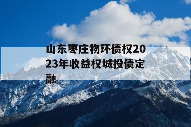 山东枣庄物环债权2023年收益权城投债定融