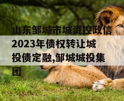 山东邹城市城资控政信2023年债权转让城投债定融,邹城城投集团