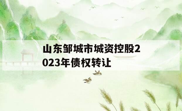 山东邹城市城资控股2023年债权转让