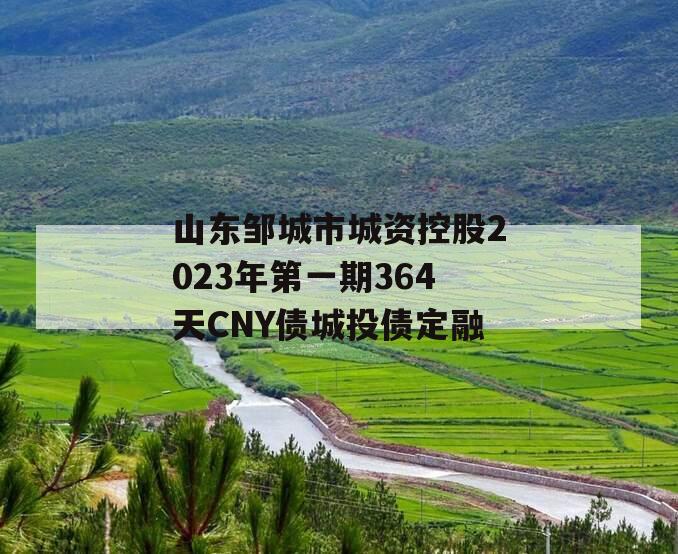 山东邹城市城资控股2023年第一期364天CNY债城投债定融