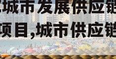 HZ城市发展供应链金融项目,城市供应链广场