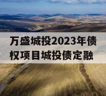 万盛城投2023年债权项目城投债定融