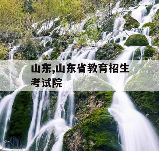 山东,山东省教育招生考试院