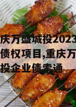 重庆万盛城投2023年债权项目,重庆万盛城投企业债索通