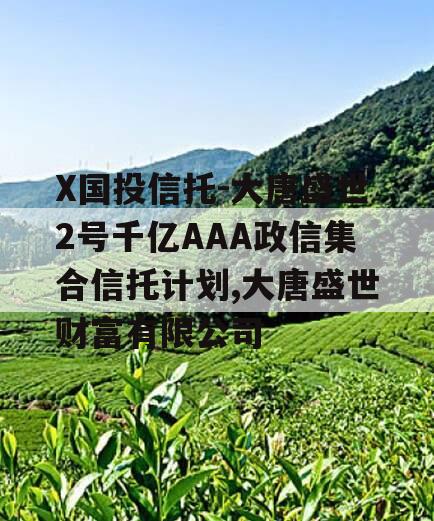 X国投信托-大唐盛世2号千亿AAA政信集合信托计划,大唐盛世财富有限公司