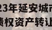 2023年延安城市建投债权资产转让