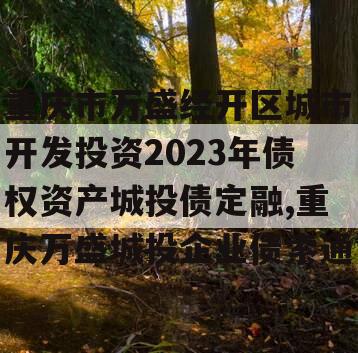 重庆市万盛经开区城市开发投资2023年债权资产城投债定融,重庆万盛城投企业债索通