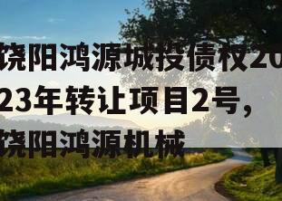 饶阳鸿源城投债权2023年转让项目2号,饶阳鸿源机械