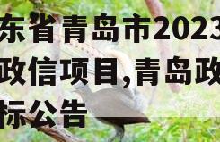 山东省青岛市2023年政信项目,青岛政务招标公告