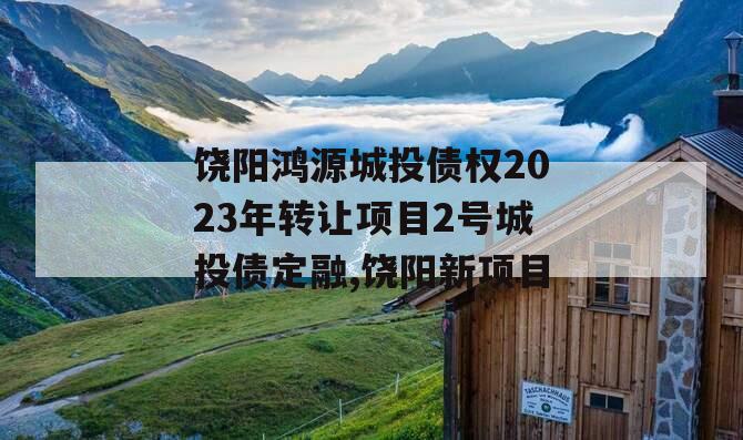 饶阳鸿源城投债权2023年转让项目2号城投债定融,饶阳新项目