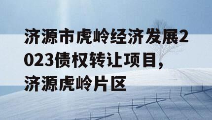 济源市虎岭经济发展2023债权转让项目,济源虎岭片区