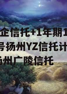 央企信托+1年期101号扬州YZ信托计划,扬州广陵信托