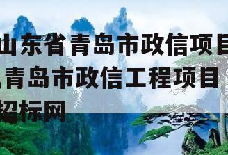 山东省青岛市政信项目,青岛市政信工程项目招标网