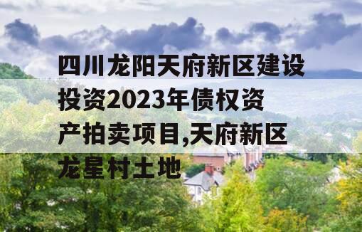 四川龙阳天府新区建设投资2023年债权资产拍卖项目,天府新区龙星村土地