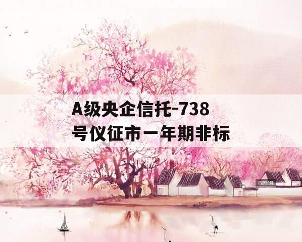 A级央企信托-738号仪征市一年期非标