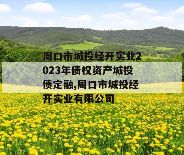 周口市城投经开实业2023年债权资产城投债定融,周口市城投经开实业有限公司