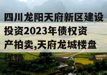 四川龙阳天府新区建设投资2023年债权资产拍卖,天府龙城楼盘详情