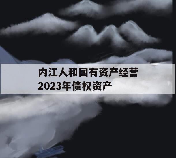 内江人和国有资产经营2023年债权资产