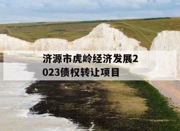 济源市虎岭经济发展2023债权转让项目