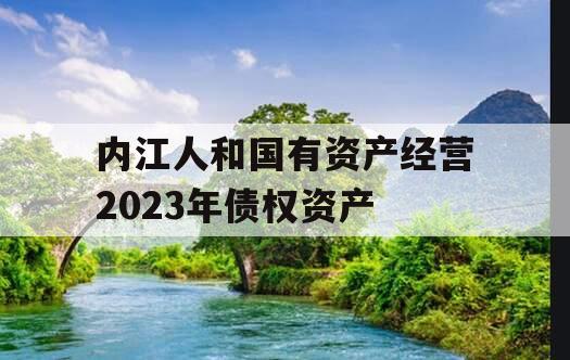 内江人和国有资产经营2023年债权资产