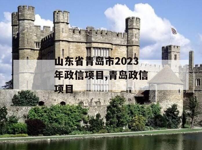 山东省青岛市2023年政信项目,青岛政信项目