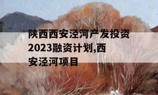 陕西西安泾河产发投资2023融资计划,西安泾河项目