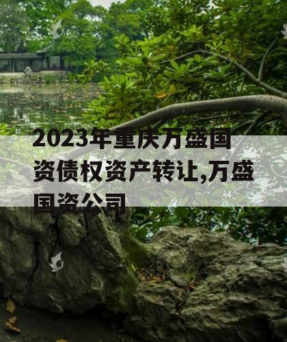 2023年重庆万盛国资债权资产转让,万盛国资公司