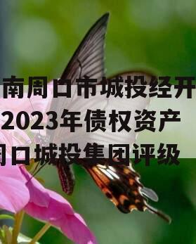 河南周口市城投经开实业2023年债权资产,周口城投集团评级