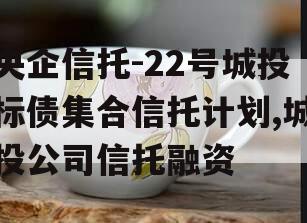 央企信托-22号城投标债集合信托计划,城投公司信托融资