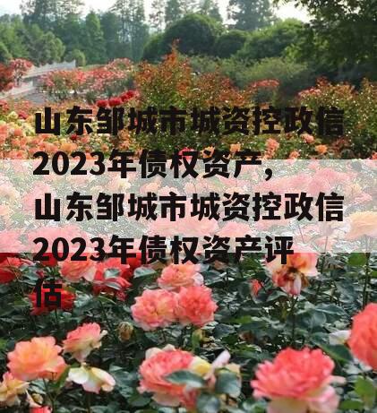 山东邹城市城资控政信2023年债权资产,山东邹城市城资控政信2023年债权资产评估