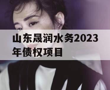 山东晟润水务2023年债权项目