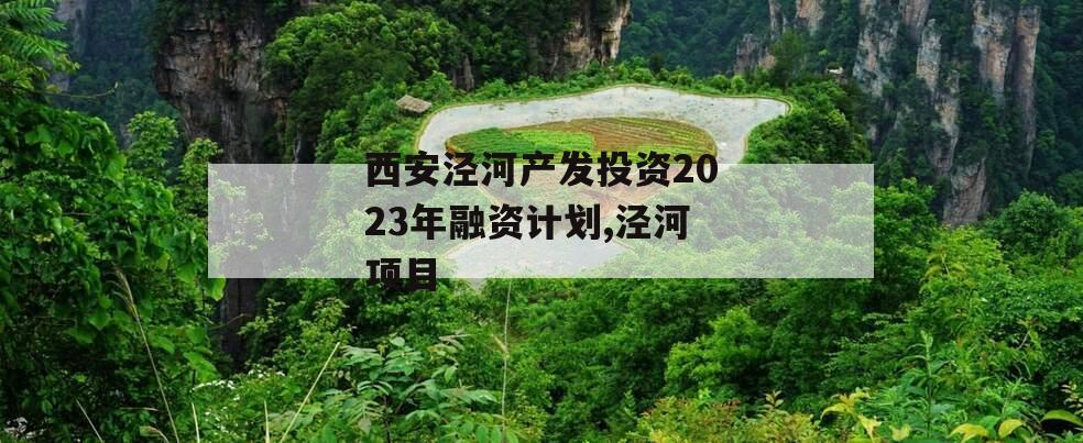 西安泾河产发投资2023年融资计划,泾河项目