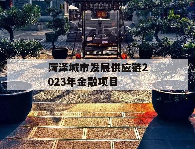 菏泽城市发展供应链2023年金融项目