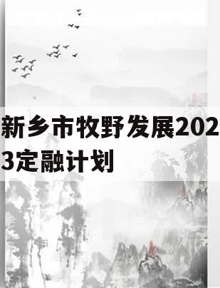 新乡市牧野发展2023定融计划