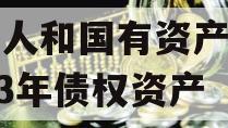 内江人和国有资产经营2023年债权资产