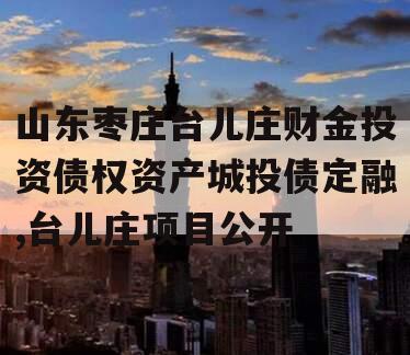 山东枣庄台儿庄财金投资债权资产城投债定融,台儿庄项目公开