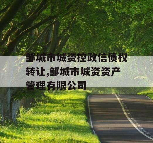 邹城市城资控政信债权转让,邹城市城资资产管理有限公司