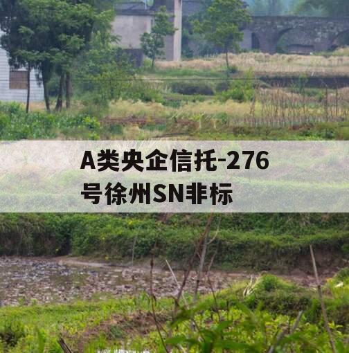 A类央企信托-276号徐州SN非标