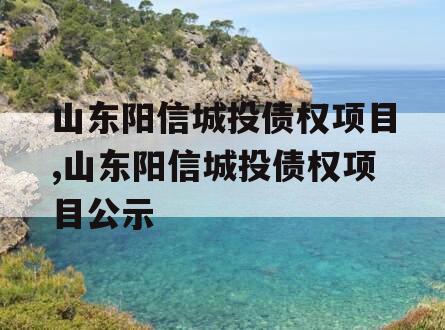 山东阳信城投债权项目,山东阳信城投债权项目公示