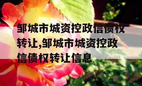 邹城市城资控政信债权转让,邹城市城资控政信债权转让信息