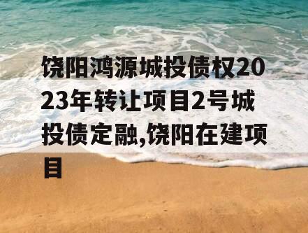 饶阳鸿源城投债权2023年转让项目2号城投债定融,饶阳在建项目