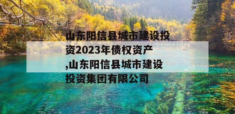 山东阳信县城市建设投资2023年债权资产,山东阳信县城市建设投资集团有限公司