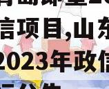 山东青岛即墨2023年政信项目,山东青岛即墨2023年政信项目招标公告