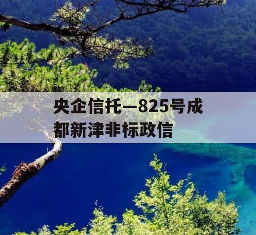 央企信托—825号成都新津非标政信