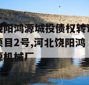 饶阳鸿源城投债权转让项目2号,河北饶阳鸿源机械厂